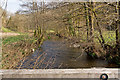 Looking up the river Bray from Newtown Bridge on Rockshead Hill