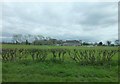 Rugby ground from Clatterbridge Road