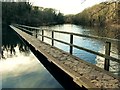 Footbridge on the west arm of Bosherston Lily Ponds