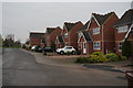 Houses on Albion Street, Carlton