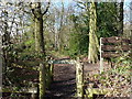 Elmdon Coppice Nature Reserve