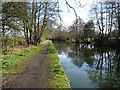 Grand Union canal east of Elmdon Heath