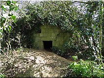 TG2733 : WW1 pillbox concealed by undergrowth by Adrian S Pye