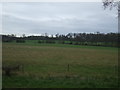 SK8292 : Farmland, Thonock Lane Farm by JThomas