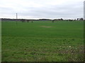 Farmland south of Thonock Road