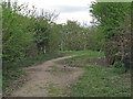 Footpath signpost in Stanford Warren Nature Reserve, Mucking