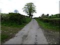 View north along the lane linking Kingsmill Road and Drumnahunshin Road