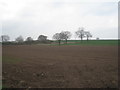 Ploughed field