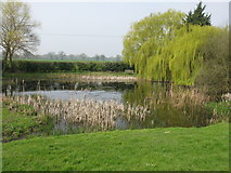 TG3713 : Pond, Pilson Green by G Laird