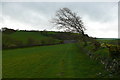 Llwybr ger Llanddeiniol / Footpath near Llanddeiniol