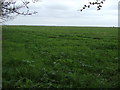 Farmland near South Cliff Farm