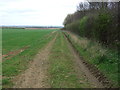 Farm track near Cliff Farm