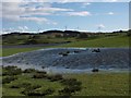 Walton Dam and flooded field