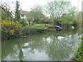 River Mole at East Molesey