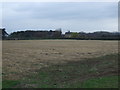 Farmland near Dairy Farm