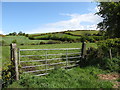 J0331 : Drumlin meadows east of Derrywilligan Road by Eric Jones