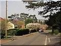 Hazelwood Road, Sneyd Park