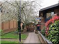 Coventry-Old City Wall