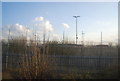 Fences by the Tilbury Loop