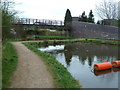 Worcester & Birmingham Canal - isolated arm