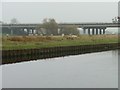 SE6820 : Sheep between the Dutch River and the Aire & Calder by Christine Johnstone