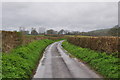 Taunton Deane District : Country Lane