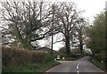 Stanbridge Lane near Lone Barn Farm