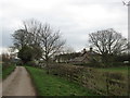 Approaching Warren Cottage