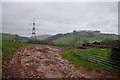 Taunton Deane District : Countryside Scenery