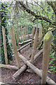 TQ2785 : Activity trail in Belsize Woods Nature Reserve by Kate Jewell