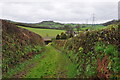 Taunton Deane District : Farm Track