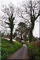 Taunton Deane District : Country Lane