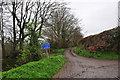 Taunton Deane : Country Lane