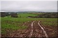 Taunton Deane District : Countryside Scenery