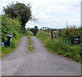 Access road to Vedw Farm, Mamhilad