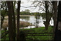 Fishing lake off Balne Moor Road