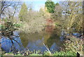 Pond, Little Southernden Farm