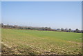 TQ8745 : Farmland, Sherway Valley by N Chadwick