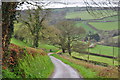 Taunton Deane District : Country Lane