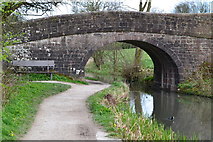 SK3056 : Bridge over Cromford Canal by David Martin