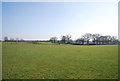 TQ8745 : Large grassy field by N Chadwick