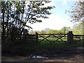 Entrances to fields on Mott Street, High Beech