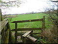 Lytchett Matravers, stile