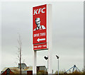 "Colonel Sanders", Belfast