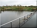 The non-towpath [east] side of the Don Aqueduct