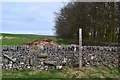 Footpath entrance near High Needham