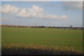 Farmland, East Tilbury