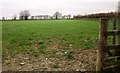 SS9931 : Field by Westcott Lane by Derek Harper