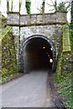 SK0957 : Tunnel entrance on the Manifold Way by David Martin