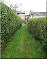 Footpath approaching Kebroyd Mount